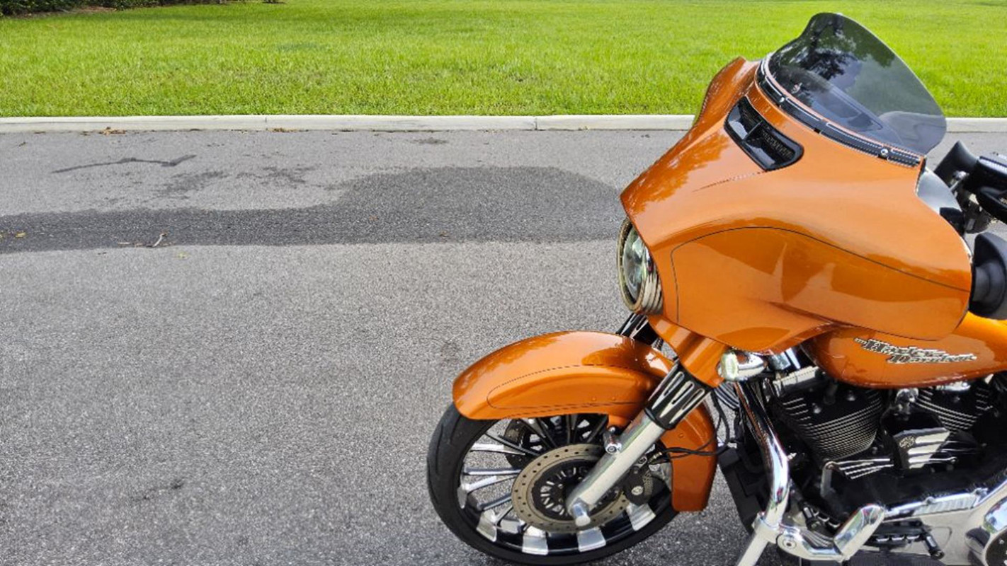 Street Glide® Special