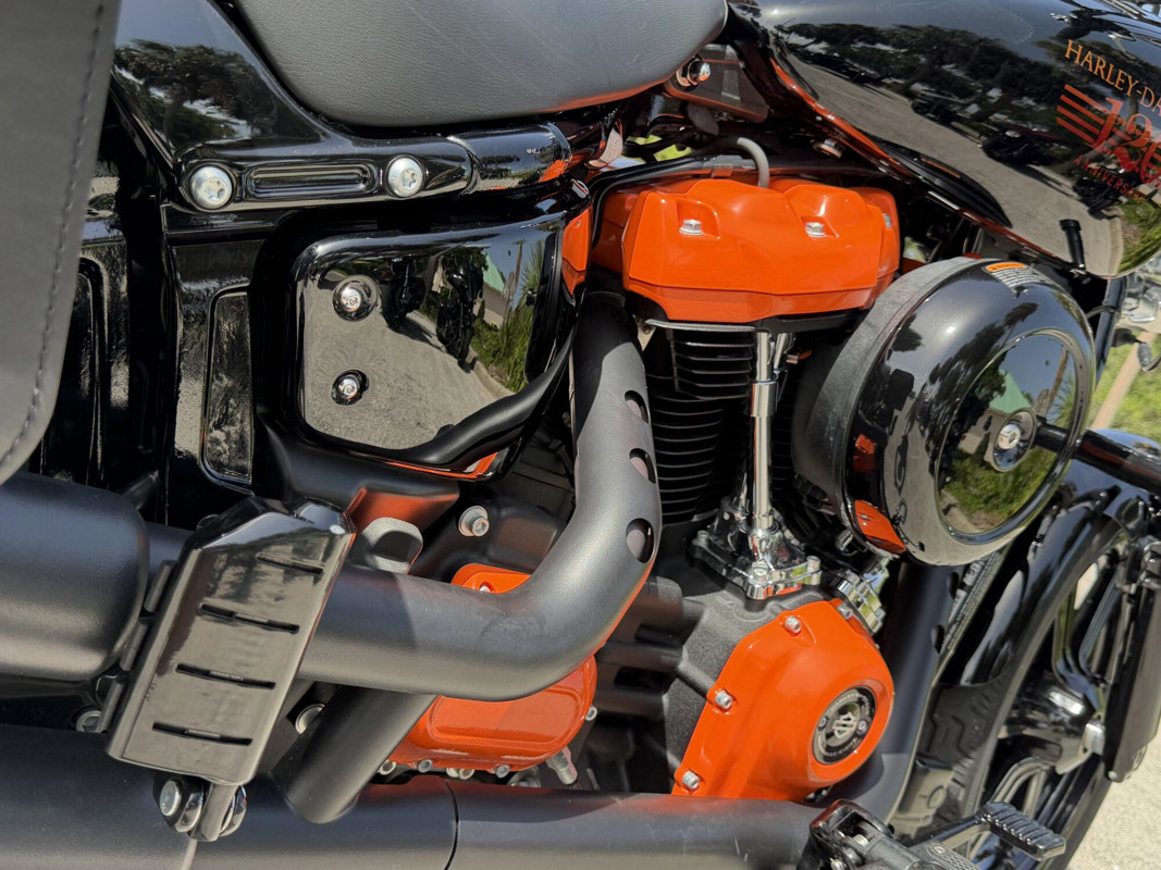Softail® Standard
