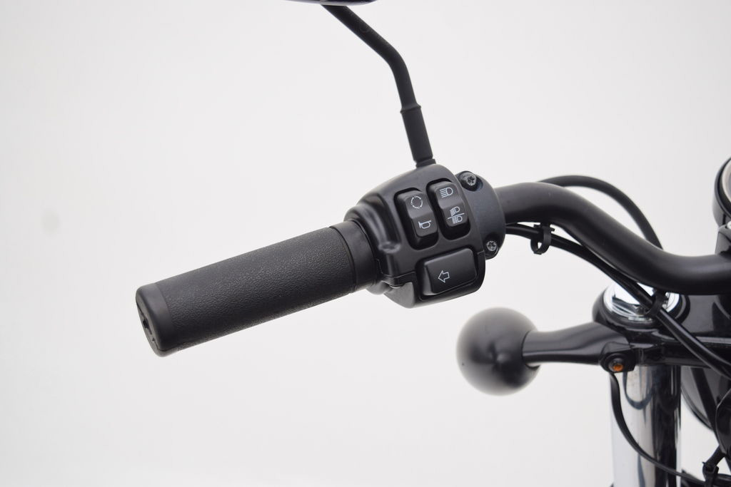Sportster® Forty-Eight®