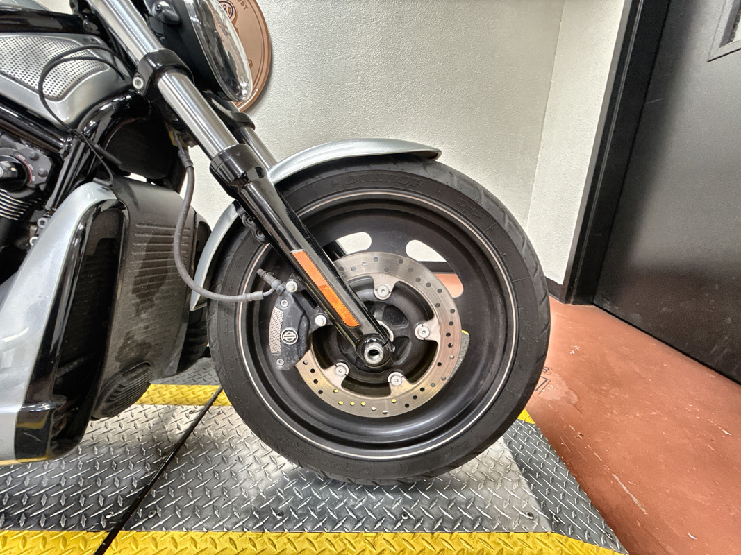 Night Rod® Special