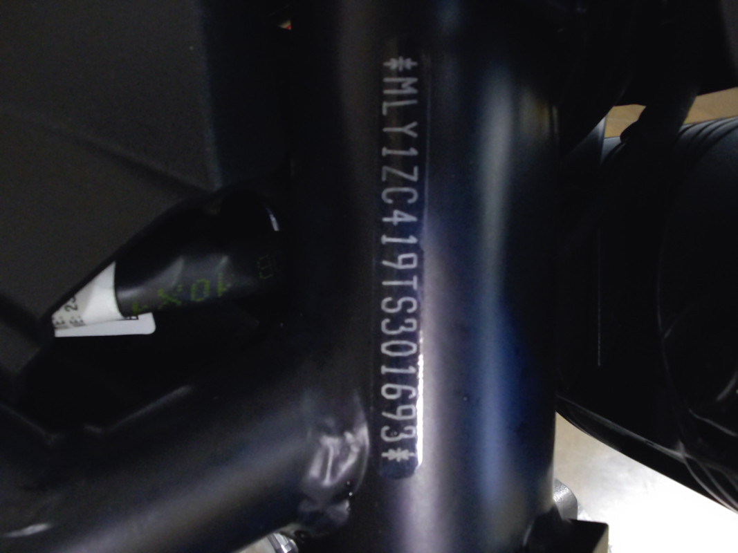 Sportster® S