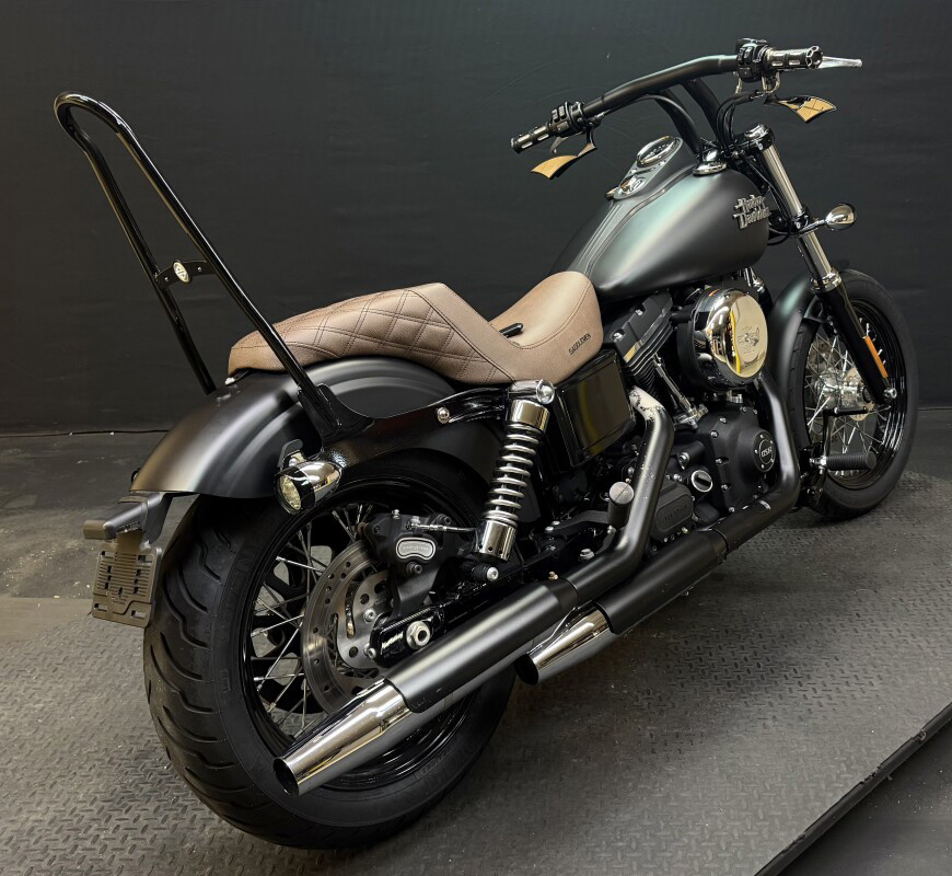 Dyna® Street Bob®