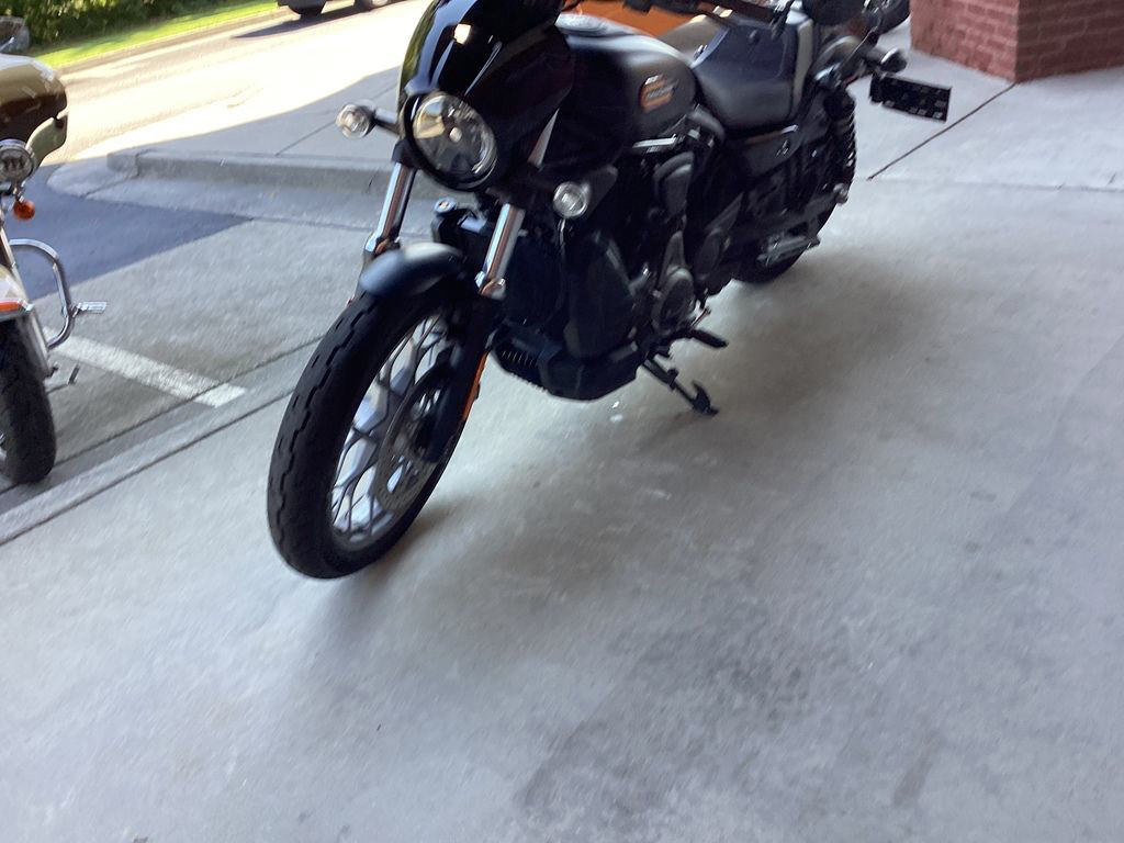 Nightster Special