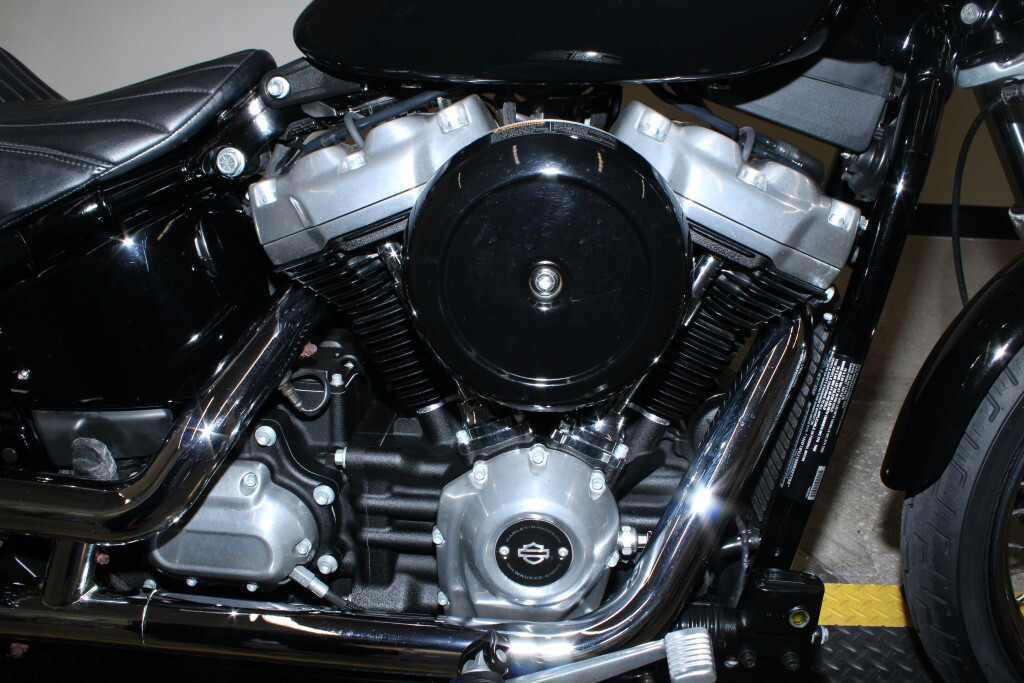 Softail® Standard
