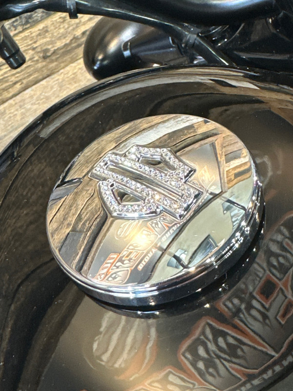 Sportster® Forty-Eight®