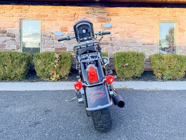 Springer® Softail®