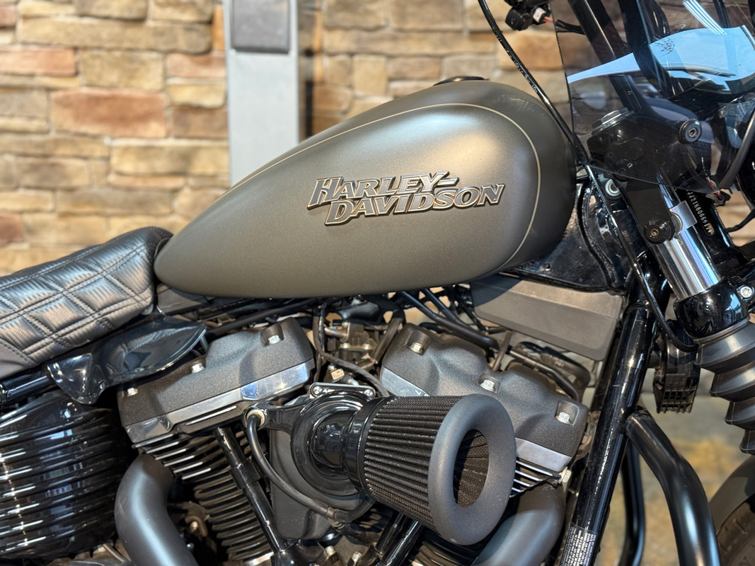 Dyna® Street Bob®	
