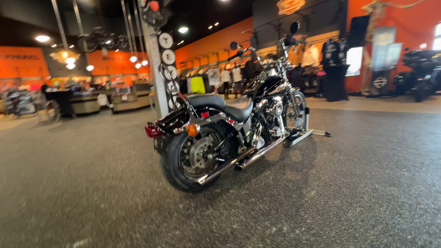 Springer® Softail®