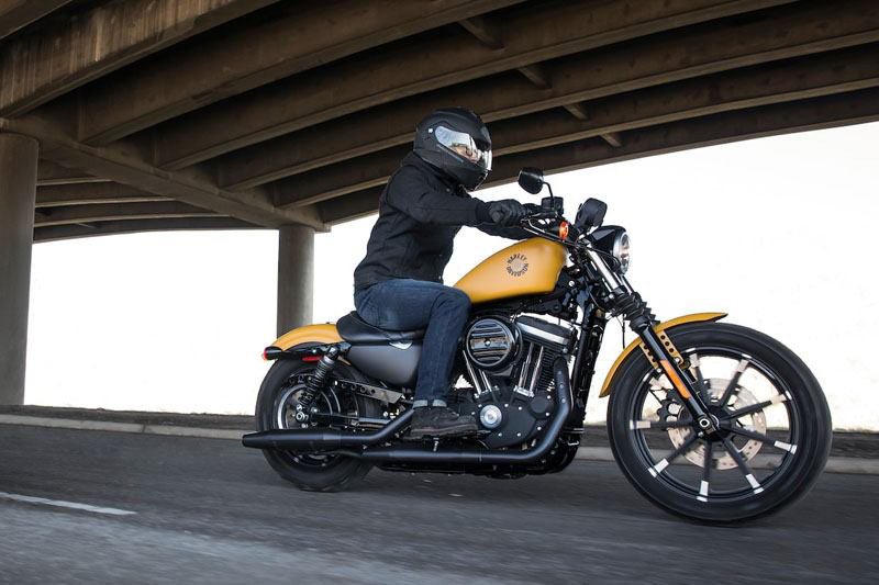 Sportster® Iron 883®