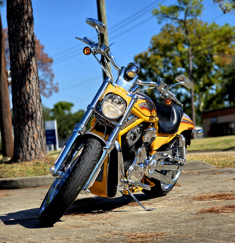 Screamin'  Eagle® V-Rod®