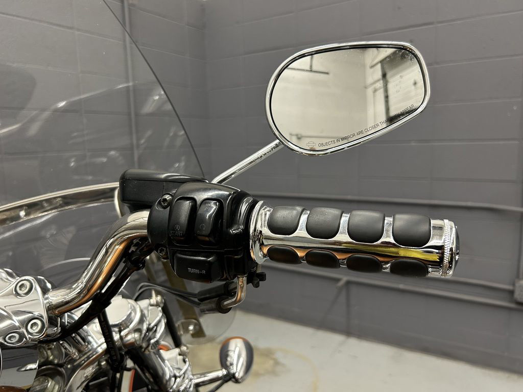 Sportster® 1200 Custom Anniversary