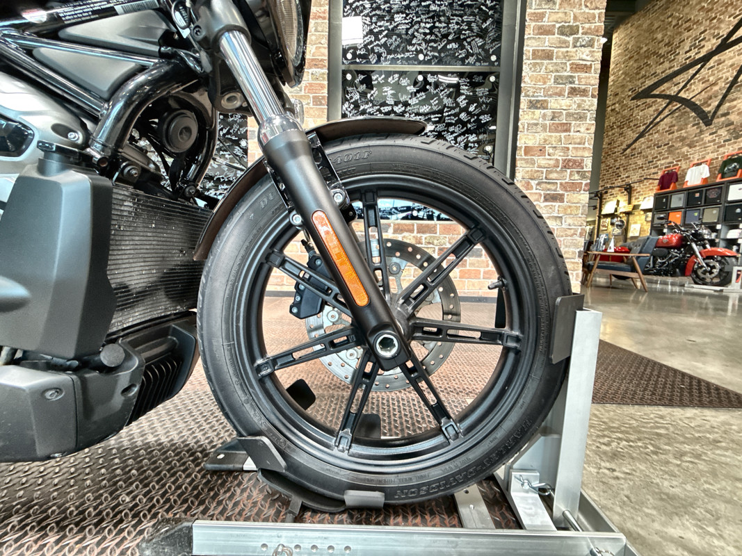 Nightster