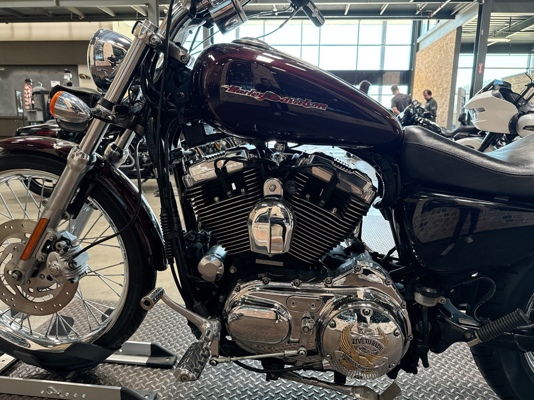 Sportster® 1200 Custom