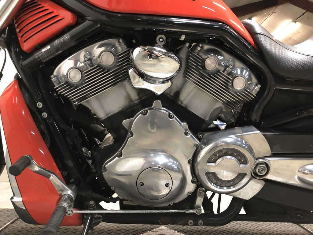 V-Rod® - Black Frame