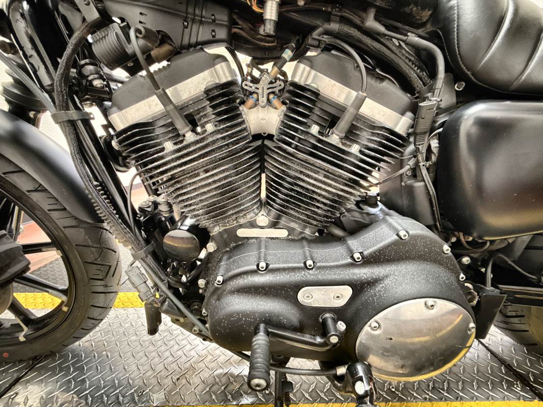Sportster® Iron 883®