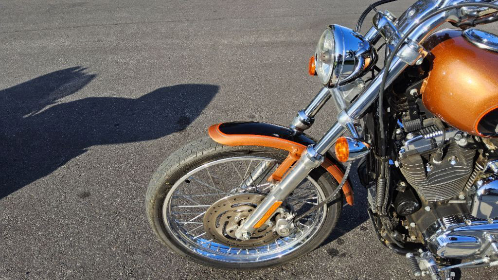 Sportster® 1200 Custom 