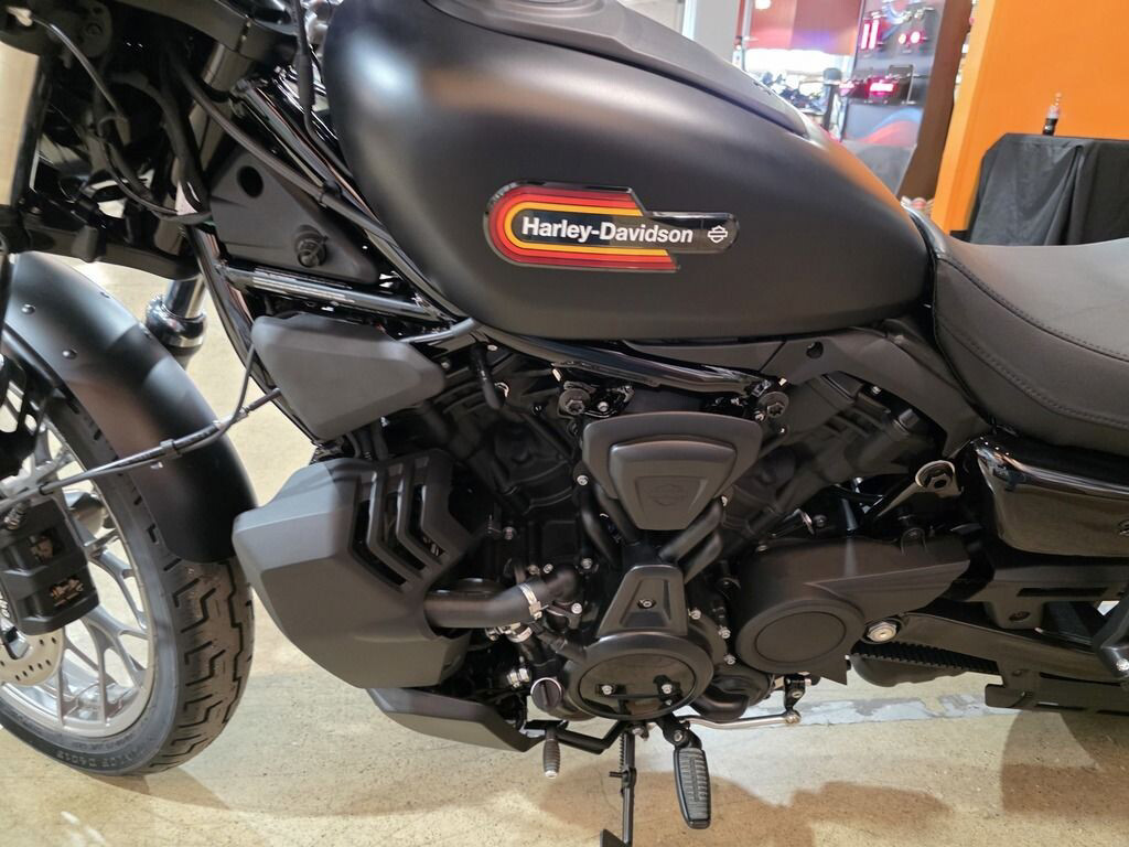 Nightster Special