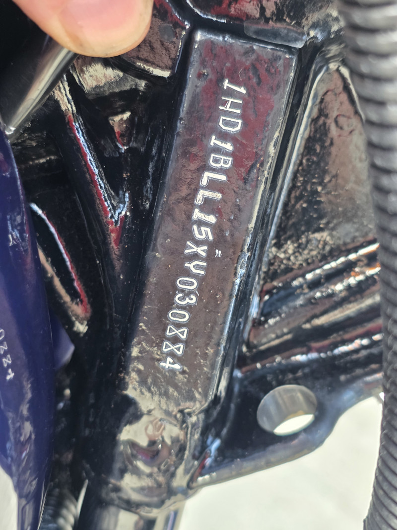 Springer® Softail®