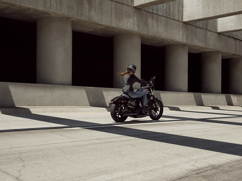 Iron 1200®