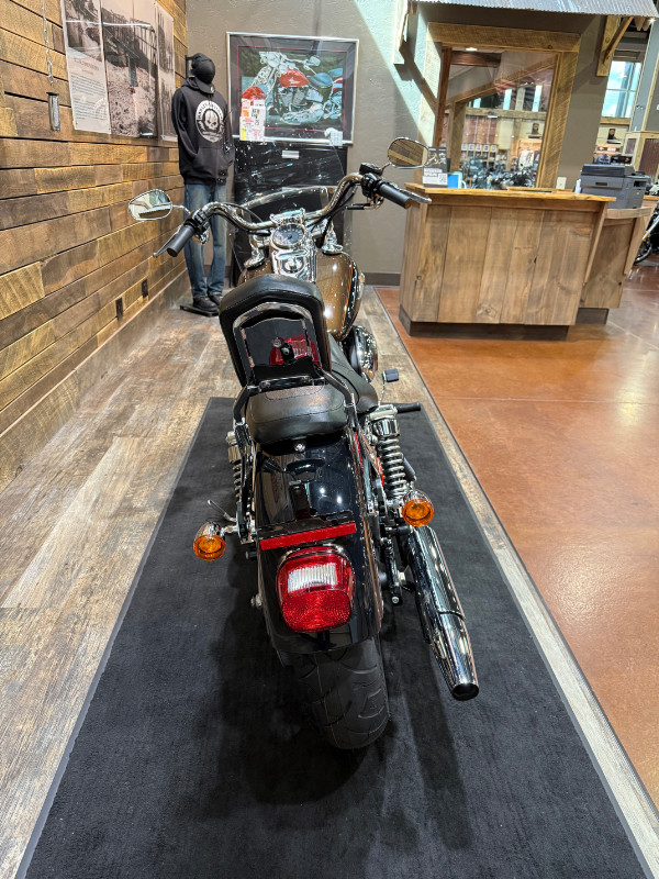 Dyna® Super Glide® Custom 110th Anniversary