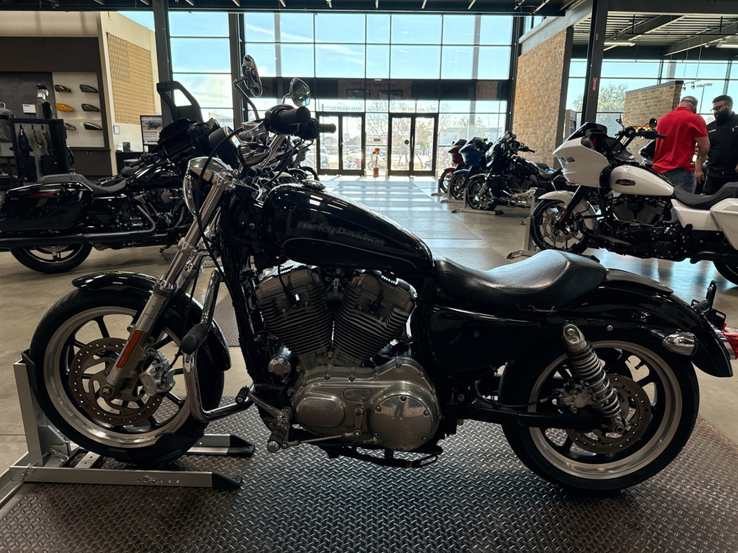 Sportster® SuperLow®