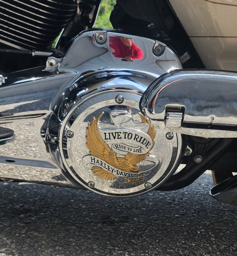 Street Glide® Special
