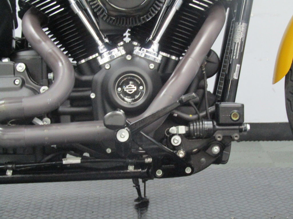 Softail® Street Bob®