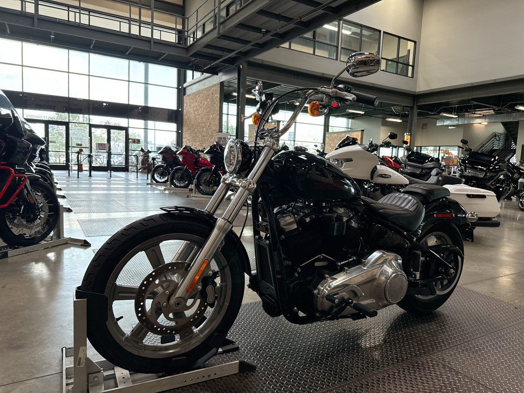 Softail® Standard