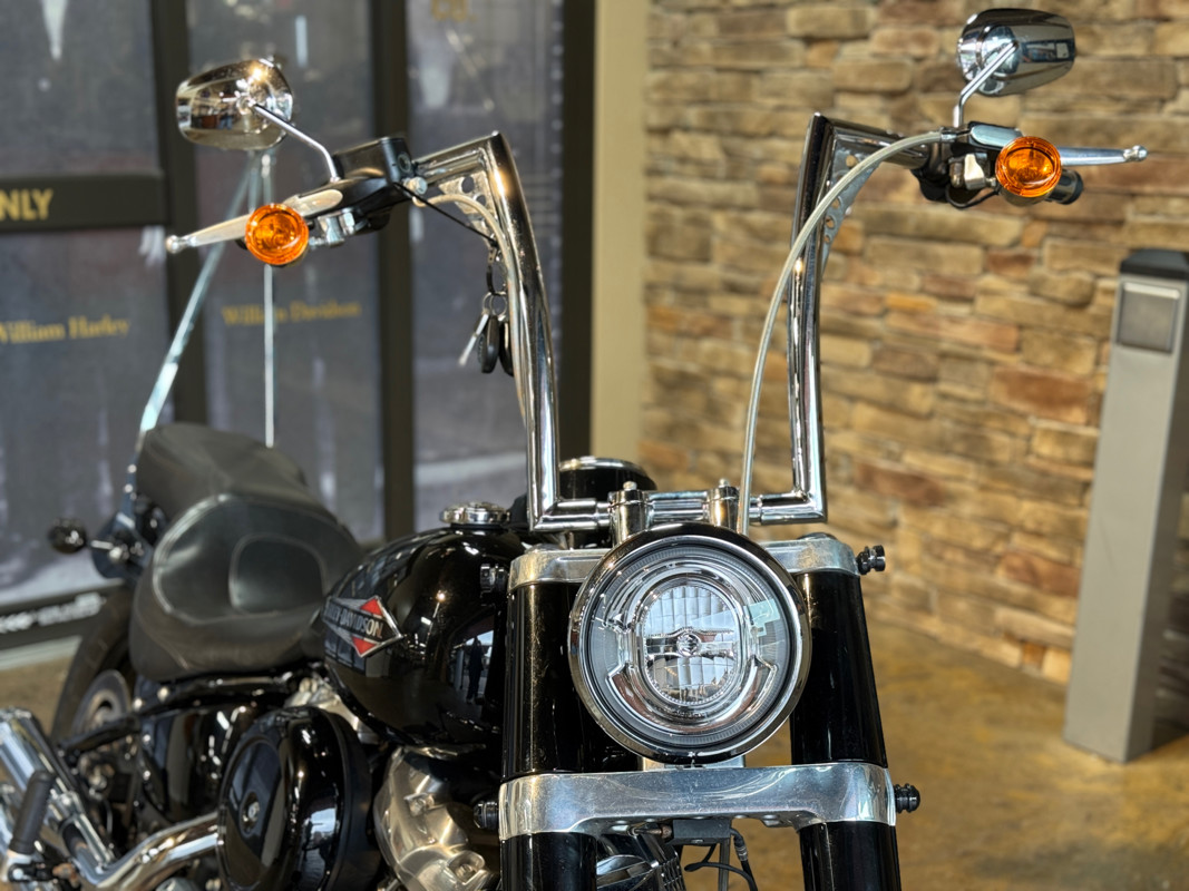 Softail® Slim®
