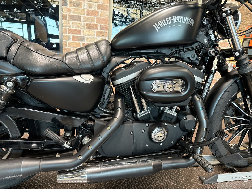 Sportster® Iron 883®