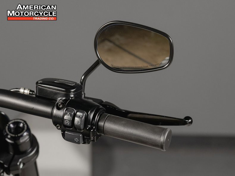 Softail® FXDR® 114