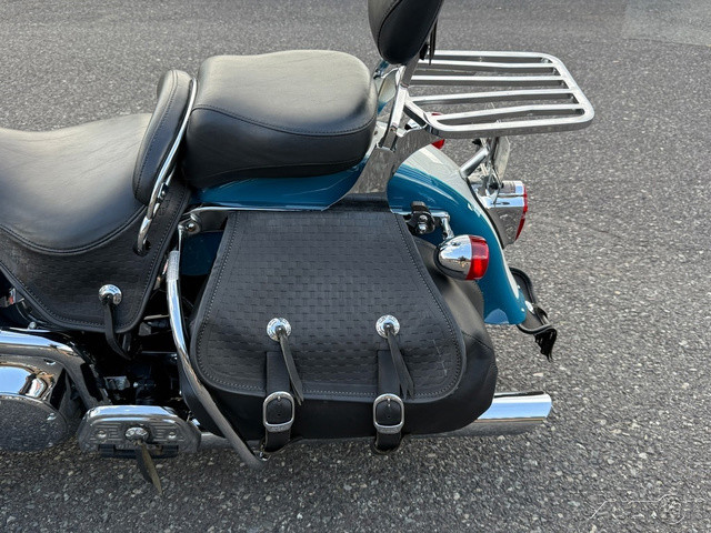 Springer® Softail®