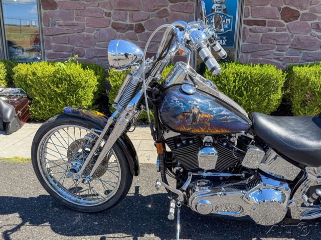 Springer® Softail®