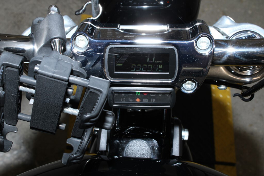 Softail® Standard
