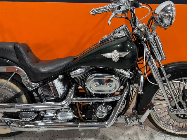 Softail® Springer®