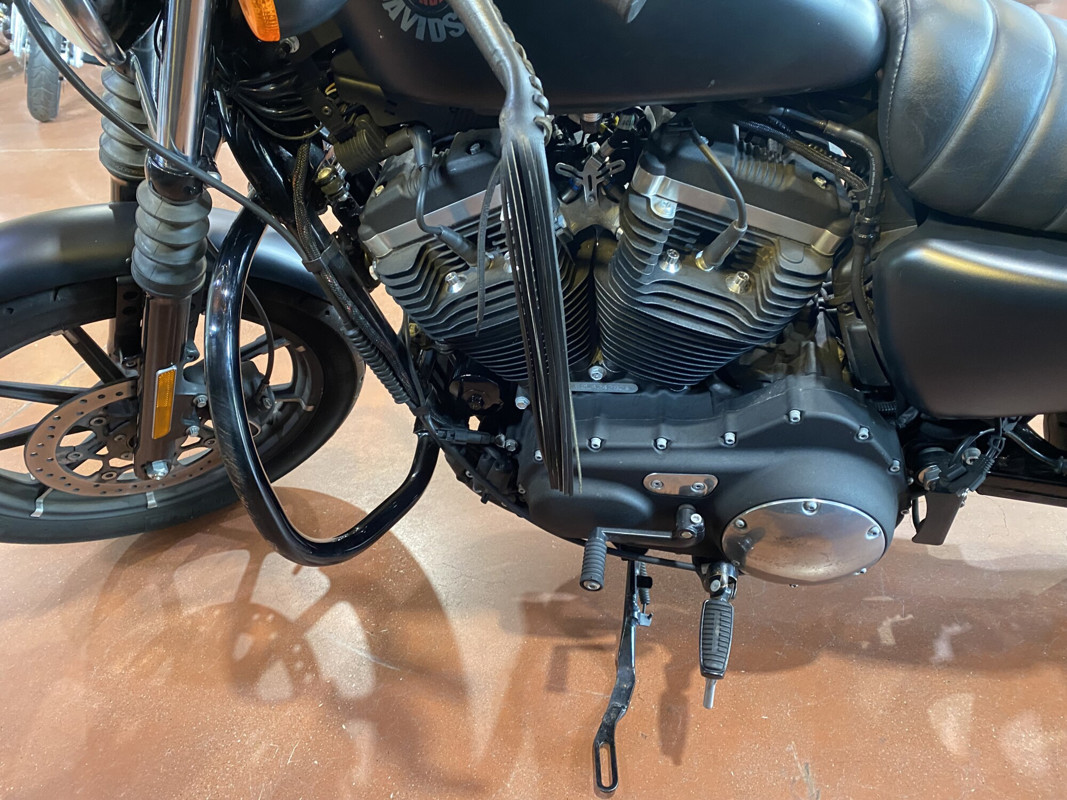 Iron 883®