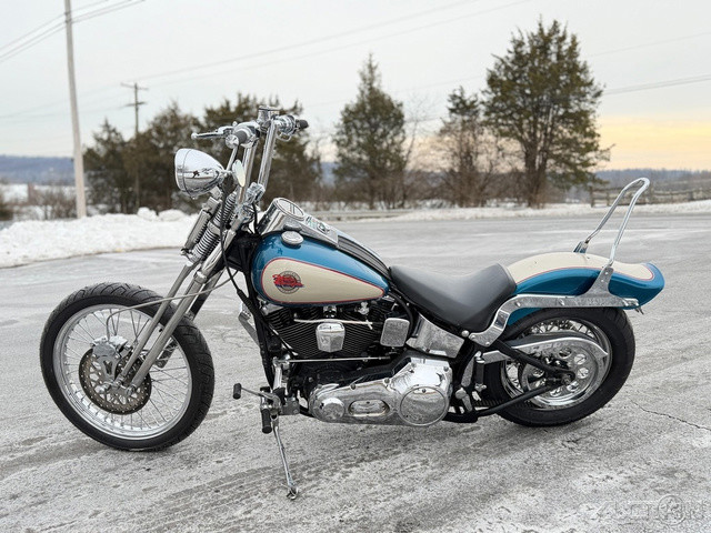 Springer® Softail®