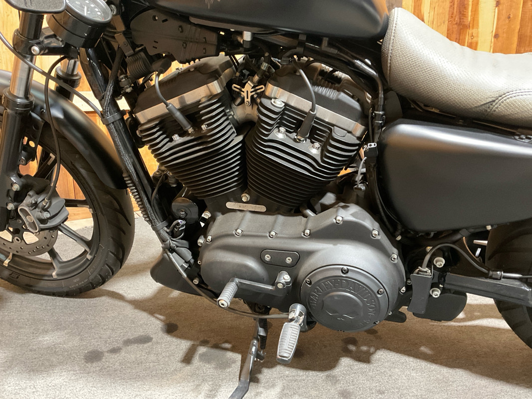 Sportster® Iron 883®