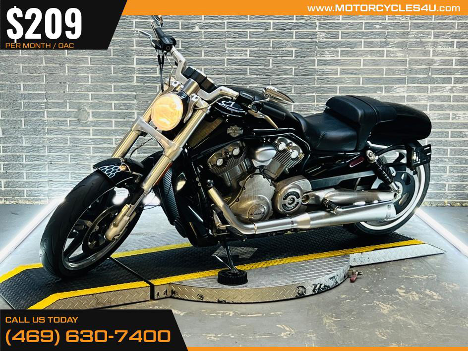V-Rod Muscle®