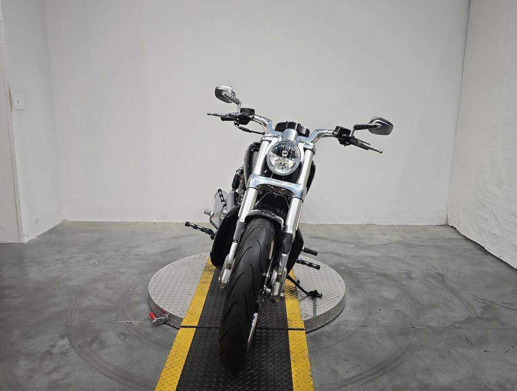 V-Rod® Muscle