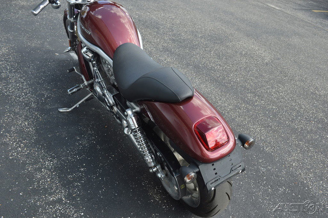 V-Rod®