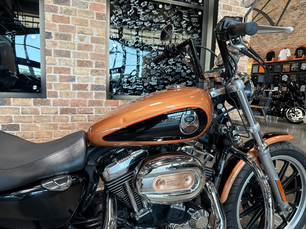 Sportster® 1200 Low Anniversary