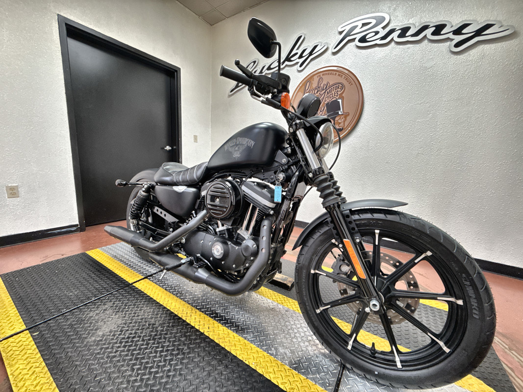Sportster® Iron 883®
