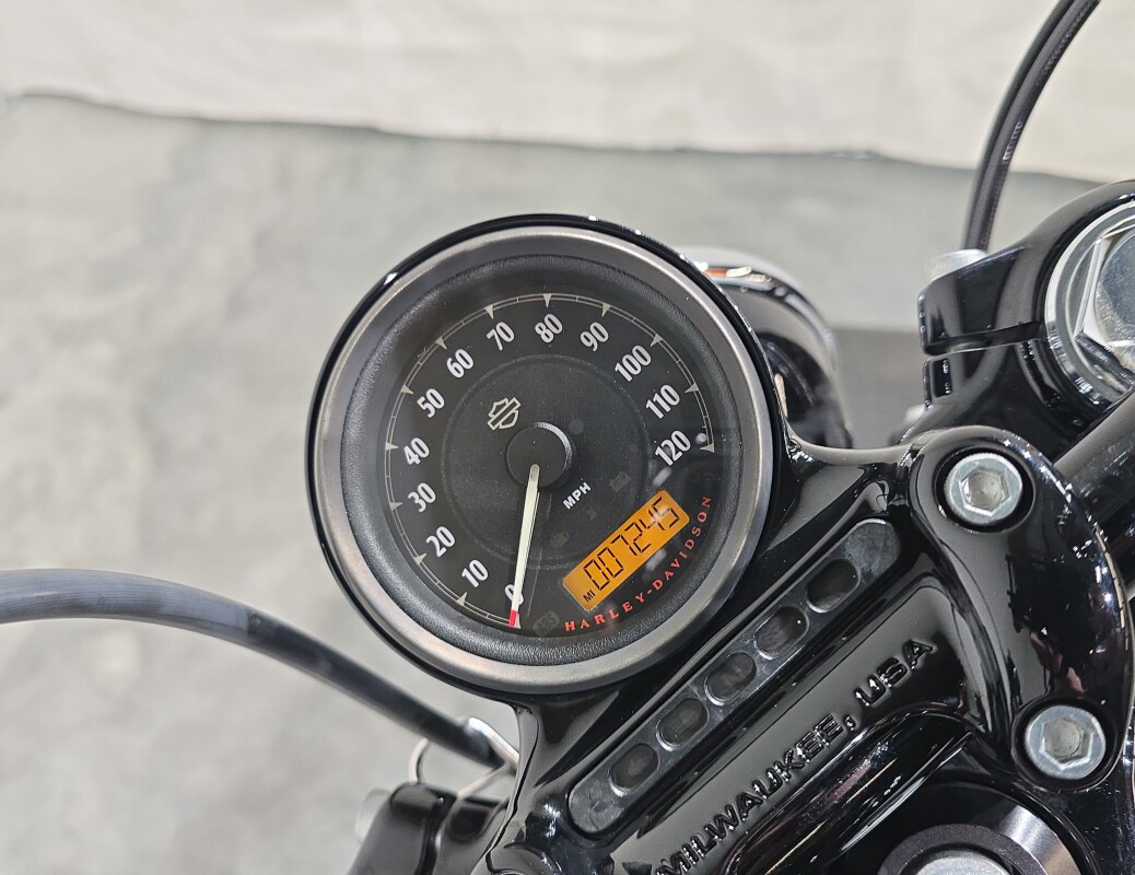 Sportster® Forty-Eight® Special