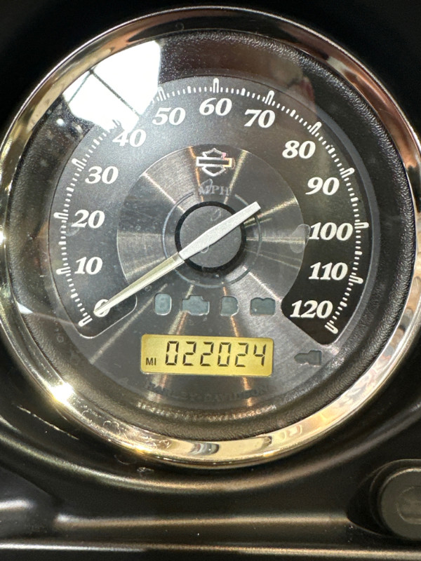 Electra Glide® Ultra® Limited 110th Anniversary