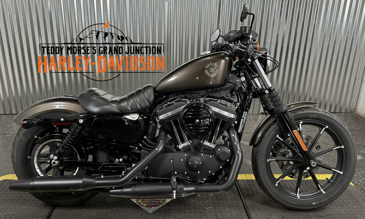 Iron 883®