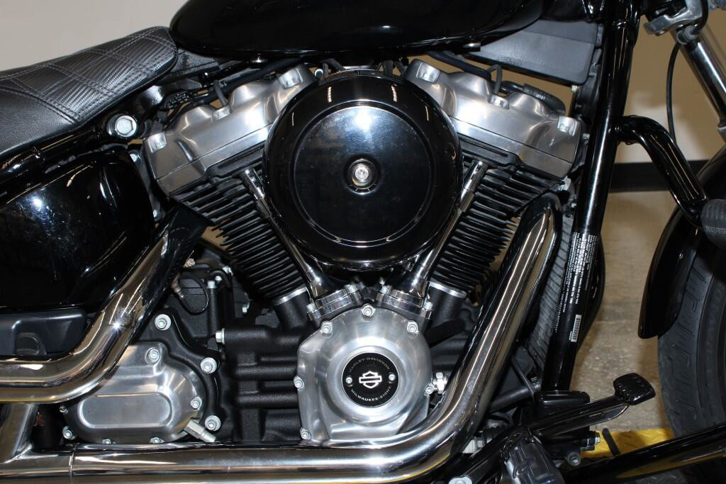 Softail® Standard
