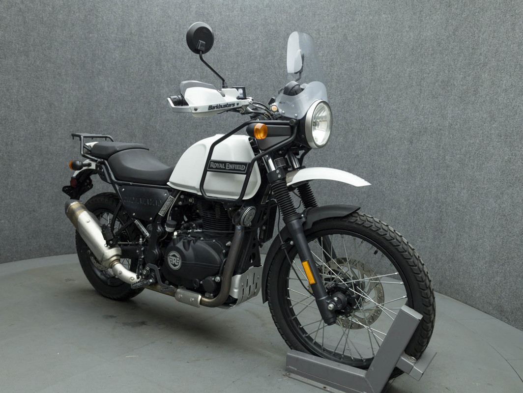 Himalayan