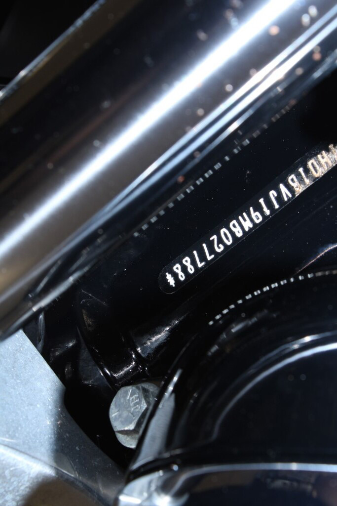 Softail® Standard